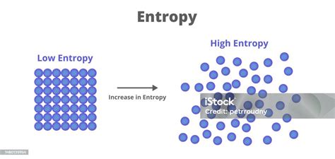 Toradh íomhá ar Entropy Definition Biology