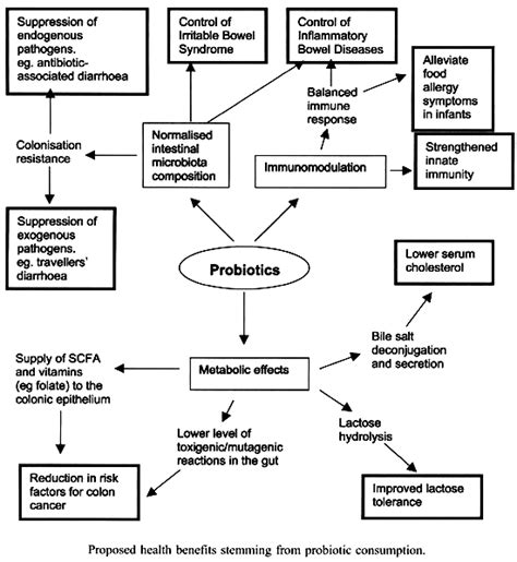Image result for Structure Diagram of Probiotics