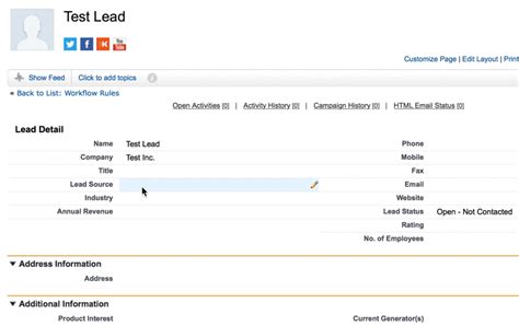 Image result for Lead Record Page Salesforce