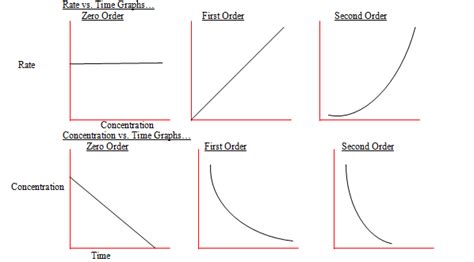 Image result for First Order Concentration Time Graph