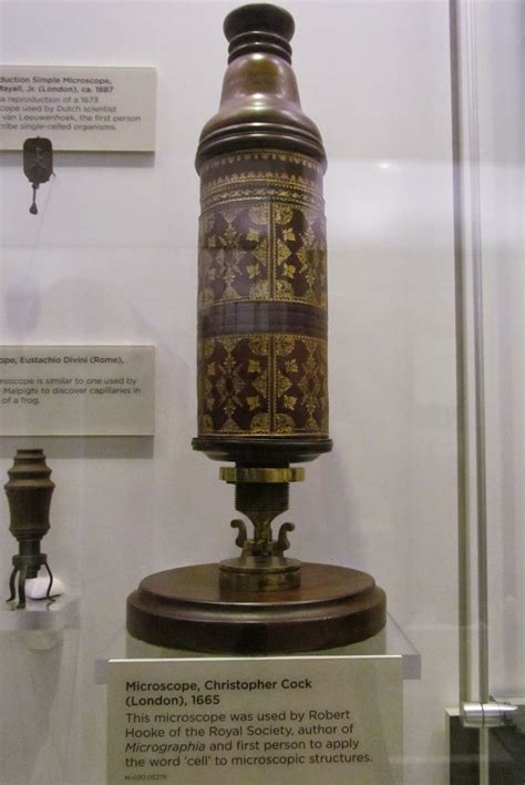 Image result for Robert Hooke Microscope