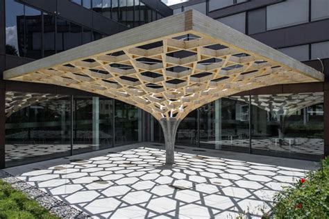 Image result for Tree Structure Canopy Architecture