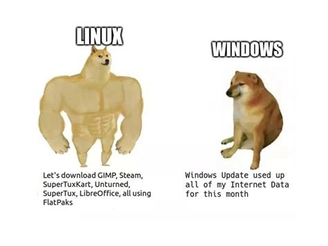 Image result for Linux Penguin vs Windows