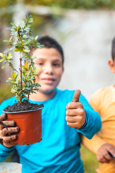 Image result for Strong Boy Plant