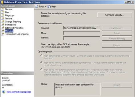 Mirring Database SQL に対する画像結果