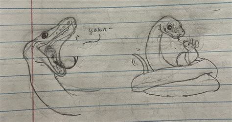 How to Draw a Ball Python に対する画像結果