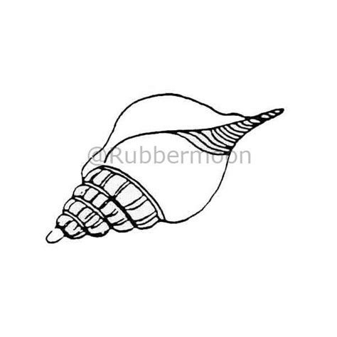 Toradh íomhá ar Conch Shell Drawing Red Line Art