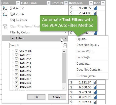 How to Filter Text in Excel に対する画像結果