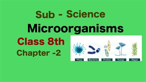 Science 8th Microorganisms Class Byjus に対する画像結果
