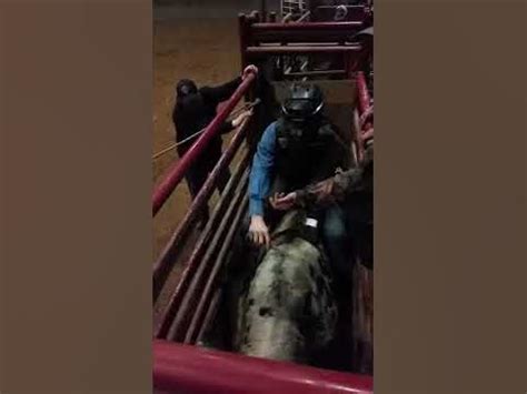 Afbeeldingsresultaten voor Bull Riding Practice