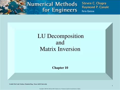 Inversion through LU Decomposition に対する画像結果