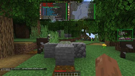 Toradh íomhá ar Set Up Minecraft Server