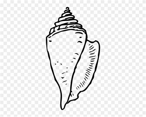 Toradh íomhá ar Conch Shell Drawing Red Line Art