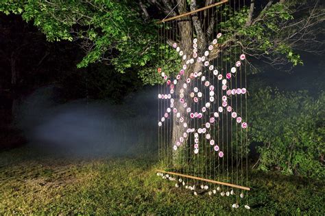 Image result for Patterns of Life Projects