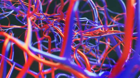 Afbeeldingsresultaten voor Link Ref HTML