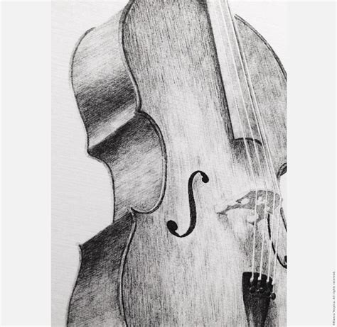 Image result for Cello Ink Drawing