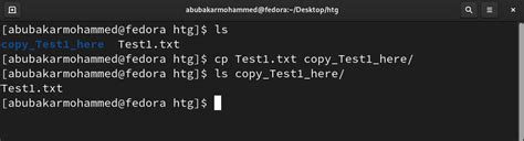 Toradh íomhá ar How to Copy File in Linux Terminal