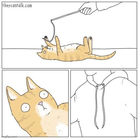 Image result for Cat Catching String Meme