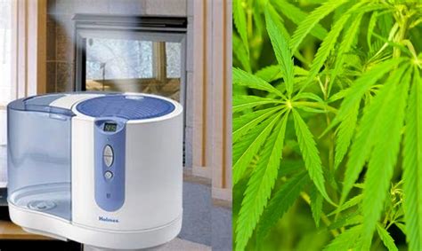 Image result for Grow Room Humidifier