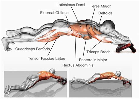 Afbeeldingsresultaten voor AB Roller Muscles Used