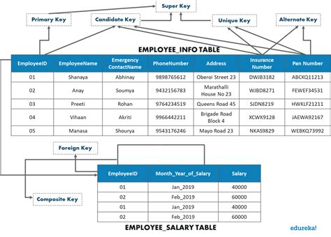DBMS Commands in MySQL માટે ઇમેજ પરિણામ