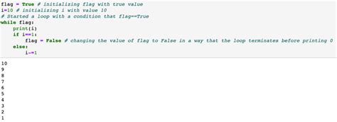 Flag Controlled Loop Example に対する画像結果