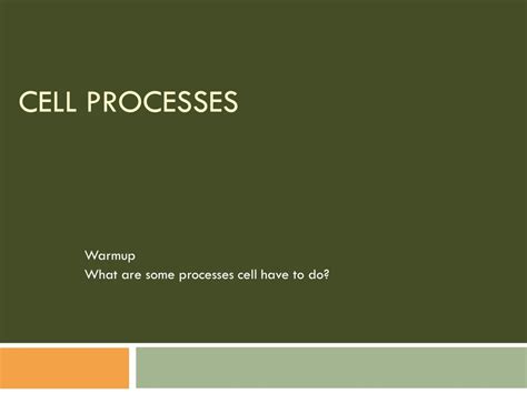 Image result for Popular Cell Processes