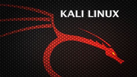 Image result for Pic of Kali Linux