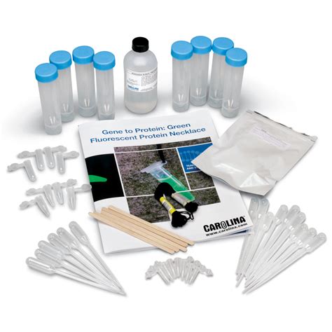 Image result for Microarray Red Green