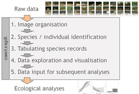 Toradh íomhá ar Camera Trap Behaviour Data Collection Sheet