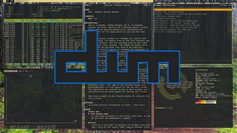 Toradh íomhá ar River Dynamic Window Manager