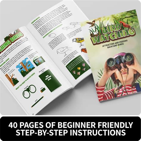 Toradh íomhá ar Watching Lab Method