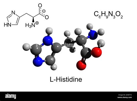 Image result for Histidine Structure Formula