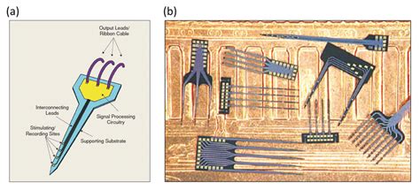 Image result for Michigan Array