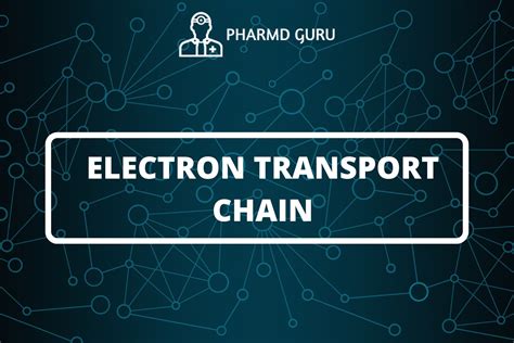 Visual Representation of Electron Transport Chain に対する画像結果