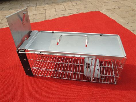 Image result for PVC Animal Traps