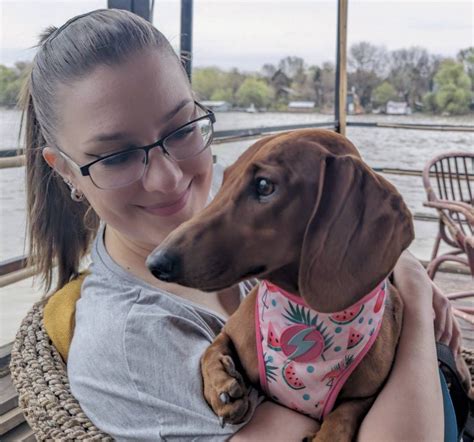 Afbeeldingsresultaten voor Basic Algorithm Examples Programming