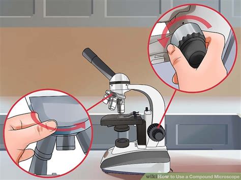 Image result for How Do You Use a Microscope