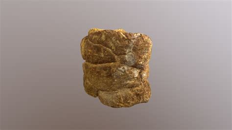 Afbeeldingsresultaten voor Sloth Dung