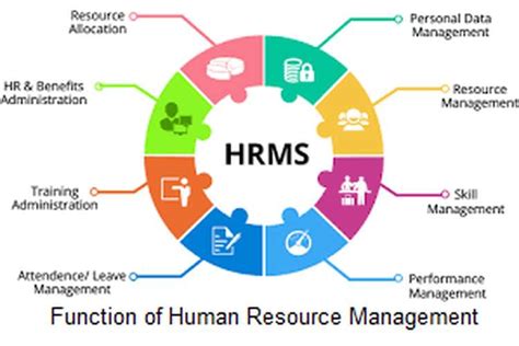 Human Resource Management Function માટે ઇમેજ પરિણામ