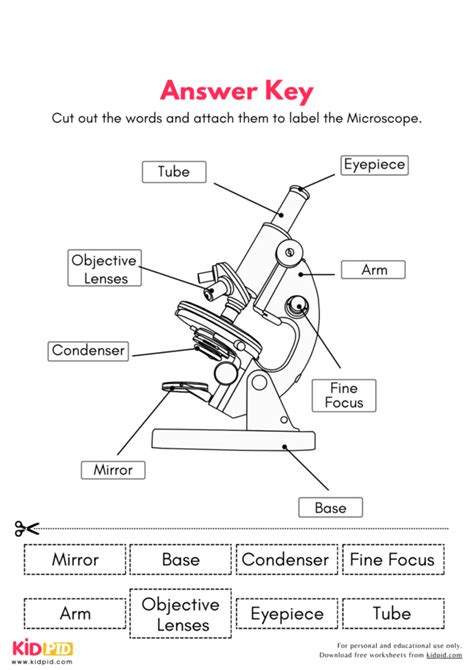 Image result for Parts and Function of Microscope Worksheet