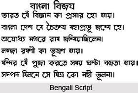 Image result for Hindi East Indian Language