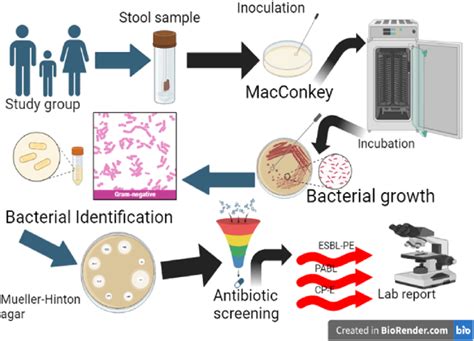 Image result for Workflow Chart for Hetro Labs Process
