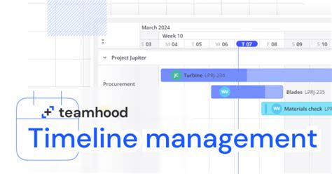 Image result for Timeline Project Management Software