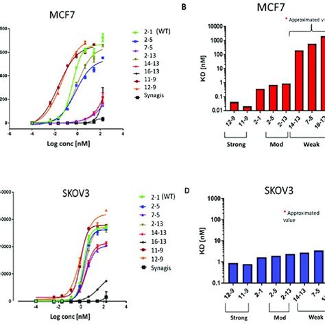 Binding Curve に対する画像結果