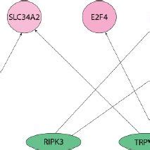 Afbeeldingsresultaten voor Key Features of Bayesian Network