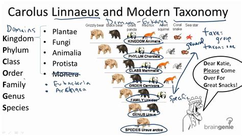Linnaeus Chart に対する画像結果