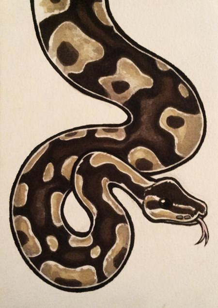Image result for Ball Python Engraving