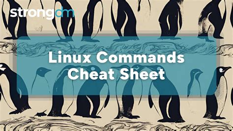 Toradh íomhá ar linux commands cheat sheets