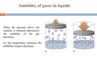 Toradh íomhá ar Solubility Principles